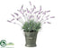 Silk Plants Direct Lavender - Lavender - Pack of 6