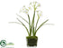 Silk Plants Direct Narcissus - White - Pack of 6