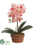 Silk Plants Direct Phalaenopsis Orchid Plant - Orchid - Pack of 4