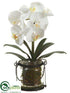 Silk Plants Direct Phalaenopsis Orchid Plant - White - Pack of 4