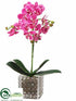 Silk Plants Direct Phalaenopsis Orchid Plant - Orchid - Pack of 4