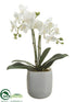 Silk Plants Direct Phalaenopsis Orchid Plant - White - Pack of 1