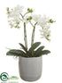 Silk Plants Direct Phalaenopsis Orchid Plant - White - Pack of 1