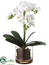 Silk Plants Direct Phalaenopsis Orchid Plant - White - Pack of 4