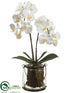 Silk Plants Direct Phalaenopsis Orchid Plant - White - Pack of 1