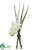 Phalaenopsis Orchid - White - Pack of 6