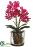 Silk Plants Direct Phalaenopsis Orchid Plant - Orchid - Pack of 1