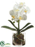 Silk Plants Direct Phalaenopsis Orchid Plant - White - Pack of 1