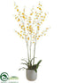 Silk Plants Direct Oncidium Orchid Plant - Yellow - Pack of 1