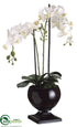 Silk Plants Direct Phalaenopsis Orchid Plant - White - Pack of 1