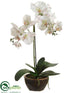 Silk Plants Direct Phalaenopsis Orchid Plant - White - Pack of 4