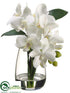 Silk Plants Direct Phalaenopsis Orchid Plant - Cream - Pack of 4