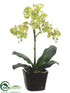 Silk Plants Direct Phalaenopsis Orchid Plant - Green - Pack of 4