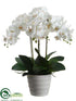 Silk Plants Direct Phalaenopsis Orchid Plant - White - Pack of 2