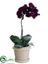 Silk Plants Direct Phalaenopsis Orchid Plant - Eggplant - Pack of 4