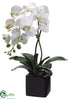 Silk Plants Direct Phalaenopsis Orchid Plant - Cream Yellow - Pack of 4