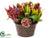 Protea Arrangement - Burgundy Mauve - Pack of 1