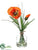 Poppy - Orange - Pack of 12