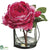 Peony - Pink - Pack of 1