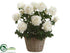 Silk Plants Direct Peony - Cream - Pack of 1