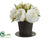 Peony - White - Pack of 6