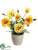 Poppy - Yellow Two Tone - Pack of 6