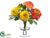 Ranunculus - Orange Yellow - Pack of 4