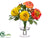 Ranunculus - Orange Yellow - Pack of 4