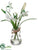 Snowdrop - White - Pack of 12