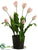 Tulip - Pink Light - Pack of 2