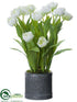 Silk Plants Direct Tulip - White - Pack of 1