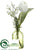 Tulip - White - Pack of 6