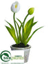 Silk Plants Direct Tulip - White - Pack of 12