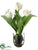 Tulip - White - Pack of 2