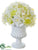 Rose, Hydrangea - Cream White - Pack of 4