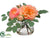 Ranunculus, Rose - Coral Peach - Pack of 12