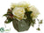 Rose, Viburnum Berry - Cream Green - Pack of 6