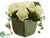 Rose, Viburnum Berry - Cream Green - Pack of 4