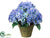 Hydrangea - Blue - Pack of 2