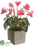 Silk Plants Direct Cyclamen - Beauty - Pack of 6