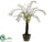 Arborescent Fern Plant - Green - Pack of 2