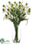 Coneflower - Cream Green - Pack of 1