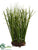 Grass - Green - Pack of 2