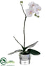 Silk Plants Direct Phalaenopsis Orchid Plant - Blush - Pack of 1