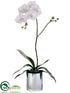 Silk Plants Direct Phalaenopsis Orchid Plant - Blush - Pack of 1