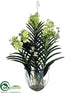 Silk Plants Direct Vanda Orchid Hanging Plant - Green - Pack of 1