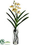 Silk Plants Direct Panee Vanda Orchid Plant - Yellow Burgundy - Pack of 2