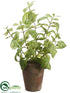 Silk Plants Direct Basil - Green - Pack of 4