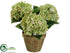 Silk Plants Direct Hydrangea - Green - Pack of 4