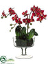 Silk Plants Direct Phalaenopsis Orchid Plant - Red - Pack of 1